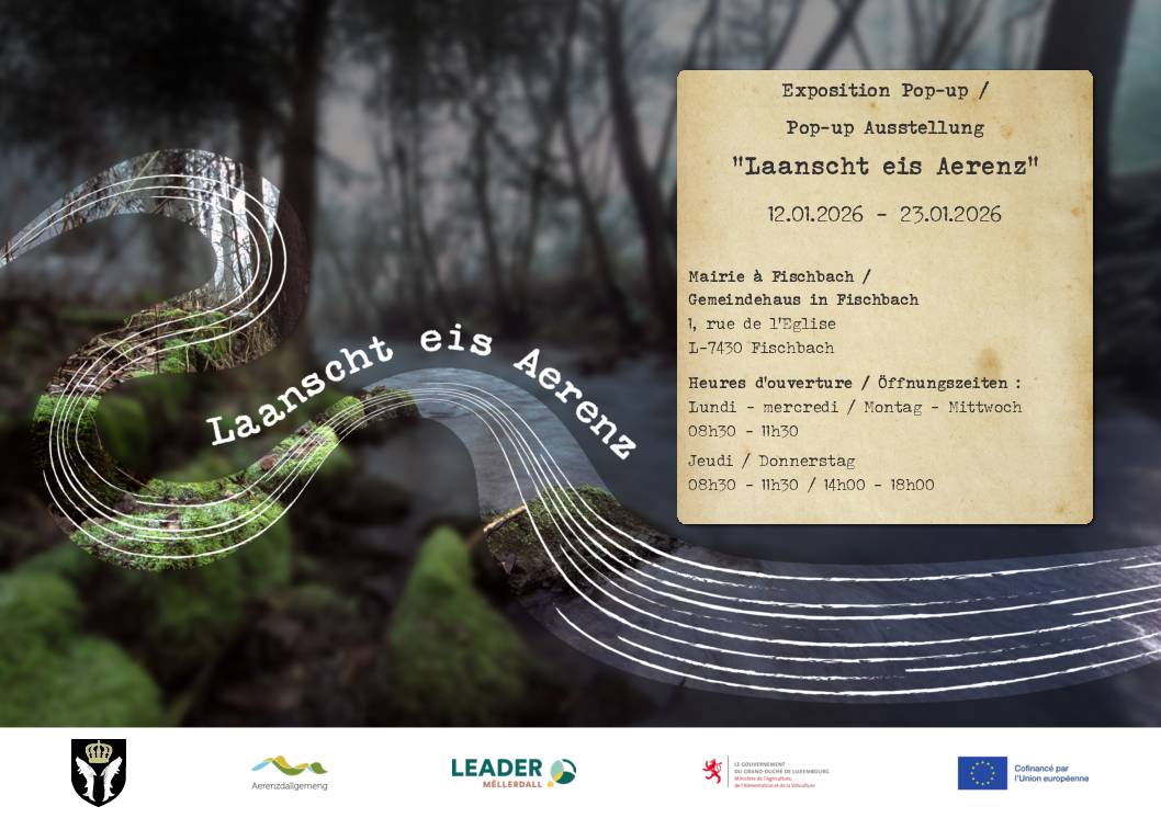 laanscht eis aerenz - Fischbach- Flyer A5